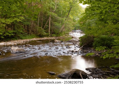 Serene river flowing through a lush forest with smooth rocks and gentle rapids during early morning light - Powered by Shutterstock