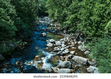 A serene river flowing through a lush green forest. The water is clear, revealing smooth stones beneath the surface. The banks are lined with dense foliage, creating a peaceful natural setting. - Powered by Shutterstock