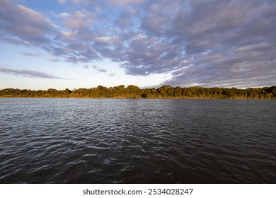 A serene river flows gently with a lush forest as its backdrop. The vibrant greenery contrasts with the calm waters, creating a peaceful, untouched landscape of natural beauty. - Powered by Shutterstock