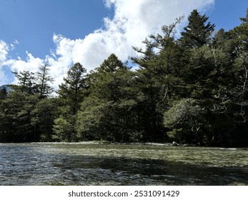 A serene river flows through lush forests, beneath a blue sky with fluffy clouds. Sunlight dances on the rippling water, creating a peaceful ambiance. - Powered by Shutterstock