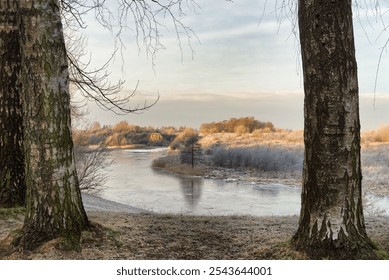 A serene river landscape framed by two large trees in the foreground, with frosty vegetation and a calm river flowing through the scene. - Powered by Shutterstock