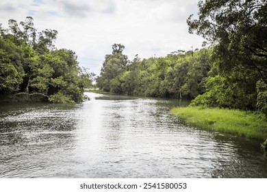 Serene River Winding Through Lush Green Forest - Powered by Shutterstock