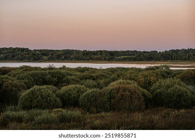 A serene riverbank with lush green vegetation and trees in the distance, captured at sunset. The sky is a soft gradient of warm colors, blending into the peaceful scene of nature. - Powered by Shutterstock