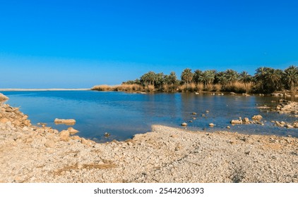 A serene riverbank in Oman showcasing lush greenery and clear blue skies during a calm afternoon - Powered by Shutterstock