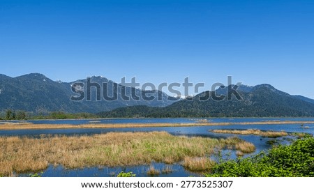 A serene riverside loop of calm waters, marshlands, and mountain reflections with abundant birdlife in Pitt Meadows, BC Canada