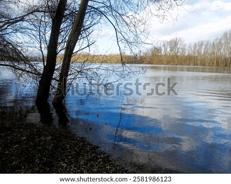 Similar – Image, Stock Photo bare tree reflected in blue lime lake, former limestone quarry