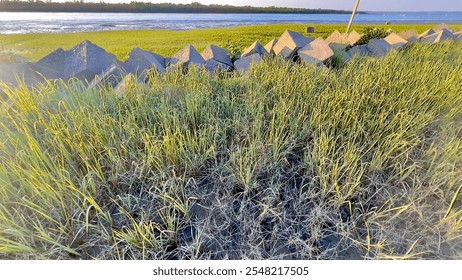 A serene riverside scene at sunrise with traditional boats docked on the shore, surrounded by lush green grass and concrete blocks. - Powered by Shutterstock