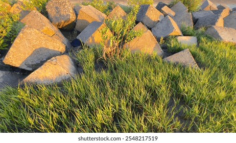 A serene riverside scene at sunrise with traditional boats docked on the shore, surrounded by lush green grass and concrete blocks. - Powered by Shutterstock