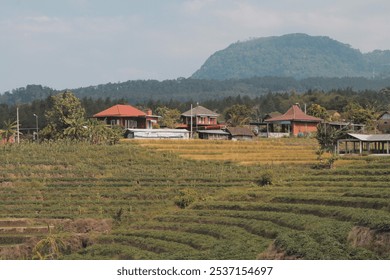 A serene rural landscape unfolds, featuring a cluster of traditional houses nestled amidst terraced rice paddies. - Powered by Shutterstock