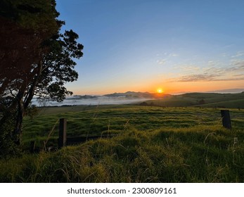 A serene rural scene in Bay of Islands, NZ. Lush green landscape with low fog. Rustic charm and simple agricultural life showcased in golden morning light. - Shutterstock ID 2300809161
