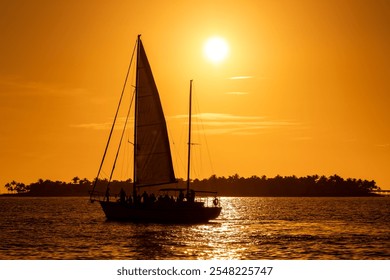 A serene sailing boat glides on calm waters during a golden sunset, silhouetted against the vibrant orange sky with palm trees in the distant background. - Powered by Shutterstock