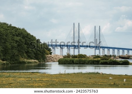 Serene Scandinavian landscape featuring the Oresund Bridge connecting Copenhagen and Malmo, with calm waters, greenery, and white birds under a cloudy sky.