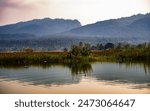 The serene scene at Asan  conservation reserve Dehradun features lush green bushes and grasses, their reflection mirrored delicately on the tranquil waters, framed by gentle hills in the background.