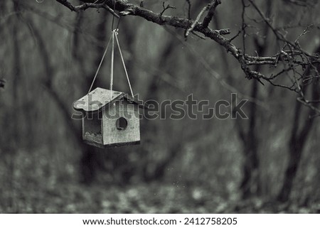 Serene scene captures wooden birdhouse hanging from tree branch outdoors. Emphasizes solitude, tranquility in nature. Undisturbed habitat represents conservation efforts