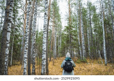 A serene scene of a lone hiker walking through a birch forest, surrounded by greenery and autumn foliage, inviting exploration in nature - Powered by Shutterstock