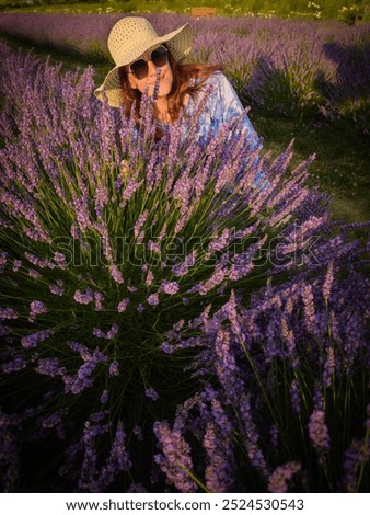 Similar – #A# Morning Sun Lavender 1