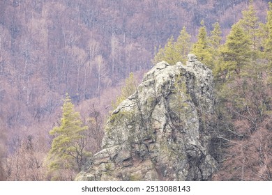 In a serene setting, a large rock formation rises from the earth, surrounded by golden and brown foliage, suggesting a peaceful autumn morning enveloped in mist - Powered by Shutterstock