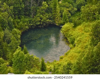 A serene, small forest pond surrounded by lush green trees and vegetation, captured from an elevated perspective. The water is clear, with gentle ripples, creating a peaceful and natural atmosphere. - Powered by Shutterstock