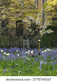 A serene springtime view within the grounds of Merton College in Oxford, England. The image captures a peaceful college garden filled with blooming flowers, fresh green trees, and vibrant seasonal vegetation during a sunny April day. Soft natural light enhances the colors of the foliage and blossoms, creating a calm and refreshing atmosphere within the historic university setting.