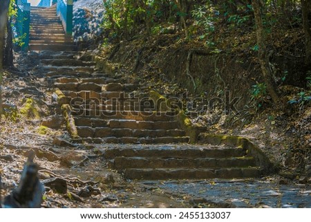 Serene Steps to Tranquility: A stone pathway leads through the lush landscape of Lamb's Rock in Coonoor, inviting nature lovers to explore the heart of the Nilgiris. Captured on 21st April 2024