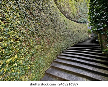 Serene Stone Staircase Enveloped by Lush Green Vines in a Curved Pathway, Creating a Picturesque and Tranquil Garden Setting - Powered by Shutterstock