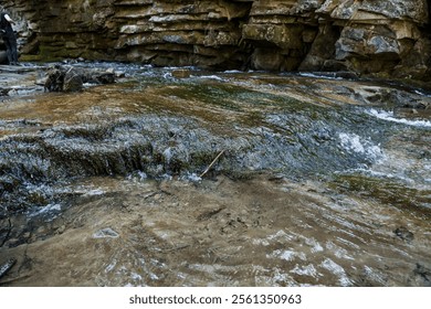 Serene Stream Flowing Over Rocky Terrain in a Lush Forest Environment. - Powered by Shutterstock