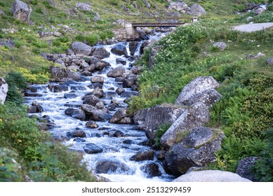 A serene stream flowing through the lush green landscape of Amaklit Plateau in Camlihemsin, showcasing the natural beauty of the highlands with rocks and hills under a clear sky. - Powered by Shutterstock