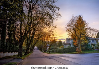 Serene Suburban Street With Houses And Golden Trees At Sunset