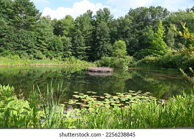 A serene and sunny waterscape. Taken at Tower Hill Botanical Gardens - Shutterstock ID 2256238845