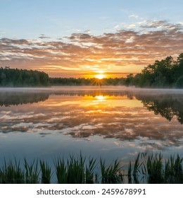 A serene sunrise scene over a tranquil lake - Powered by Shutterstock