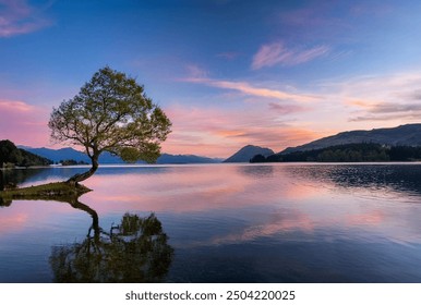 A serene sunset over a calm lake with a solitary tree reflected in the water, set against a backdrop of soft pastel skies and distant mountains. - Powered by Shutterstock