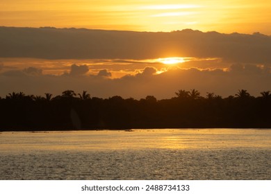 A serene sunset over a calm river, reflecting golden hues on the water, with silhouetted tropical trees and a cloud-streaked sky, conveying tranquility and natural beauty. - Powered by Shutterstock