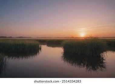 Serene Sunset Over Coastal Marshland - Powered by Shutterstock