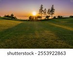 Serene Sunset Over a Green Meadow