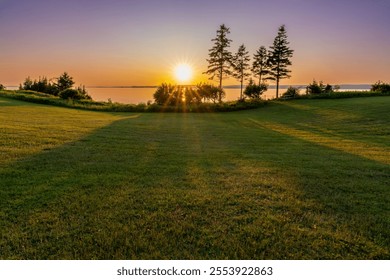 Serene Sunset Over a Green Meadow - Powered by Shutterstock