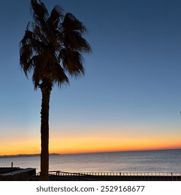 Serene sunset over the ocean with a silhouetted palm tree in the foreground. Vibrant orange, yellow, and blue sky, capturing the tranquility of a tropical beach at dusk. - Powered by Shutterstock