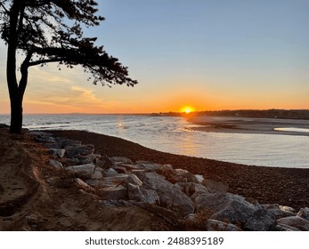 Serene sunset over a rocky beach with gentle waves lapping the shore, a silhouetted tree framing the scene, and warm colors reflecting on the water, capturing the tranquil beauty of the coastline - Powered by Shutterstock