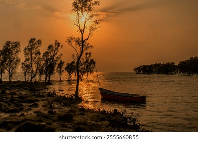 A serene sunset scene along a coastal mangrove forest. The sun, setting behind the trees, casts a warm, golden glow over the calm water. - Powered by Shutterstock