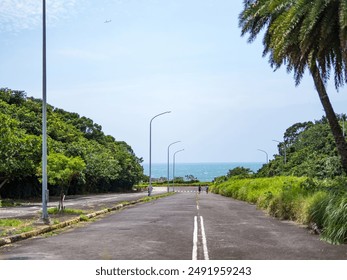 Serene Tree-Lined Road Through a Lush Forest - Powered by Shutterstock