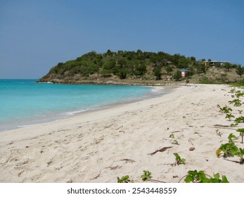 A serene tropical beach with turquoise waters and lush vegetation. Perfect for travel, nature, and landscape photography capturing relaxation and exotic vacation vibes. - Powered by Shutterstock