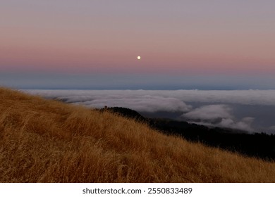 A serene twilight scene atop Mount Tamalpais in Marin County, California. The full moon hangs in a pastel gradient sky, blending soft pinks and blues, while golden grass sways gently in the foreground - Powered by Shutterstock