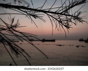 Serene Twilight: Silhouetted Branches Framing a Tranquil Horizon Over Calm Waters - Powered by Shutterstock