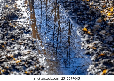 A serene view of bare tree branches reflected in two puddles on a gravel path. The water mirrors the sky, creating a peaceful and abstract composition. - Powered by Shutterstock