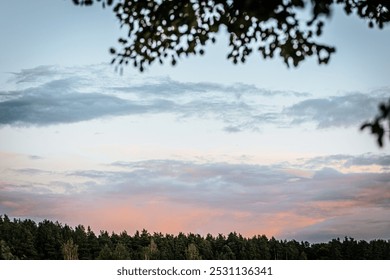 A serene view of a dense forest tree line at dusk with the sky painted soft pinks and purples as the sun sets. Lush green trees contrast with colorful clouds. - Powered by Shutterstock