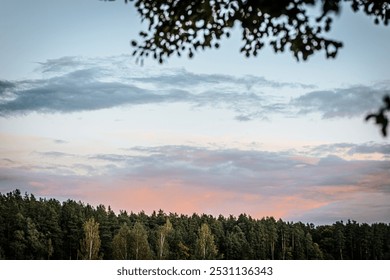 A serene view of a dense forest tree line at dusk with the sky painted soft pinks and purples as the sun sets. Lush green trees contrast with colorful clouds. - Powered by Shutterstock