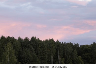 A serene view of a dense forest tree line at dusk with the sky painted soft pinks and purples as the sun sets. Lush green trees contrast with colorful clouds. - Powered by Shutterstock