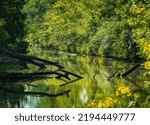 Serene View of Ohio and Erie Canal Near the Towpath Trail on the Cuyahoga River in Summer