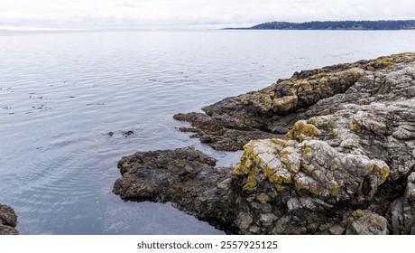 A serene view of a rocky coastline meeting calm ocean waters, complemented by a distant island horizon, exuding natural beauty and tranquility. - Powered by Shutterstock