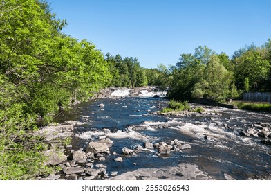  A serene view of a rushing river surrounded by lush green trees, leading to a cascading waterfall under a bright blue sky. - Powered by Shutterstock