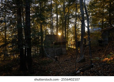 A serene view of the sun setting through dense forest trees, illuminating a rustic wooden cabin surrounded by autumn leaves. The peaceful scene evokes tranquility and solitude in nature. - Powered by Shutterstock